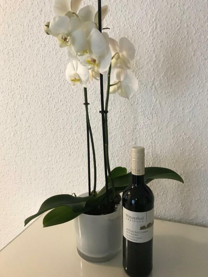 Ferienwohnung Gasser Ebringen ภายนอก รูปภาพ